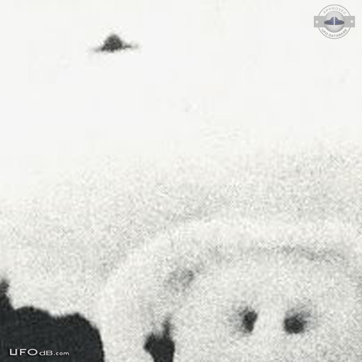 Picture of snowman in Nanaimo BC Canada gets a passing saucer UFO 1975 UFO Picture #498-3