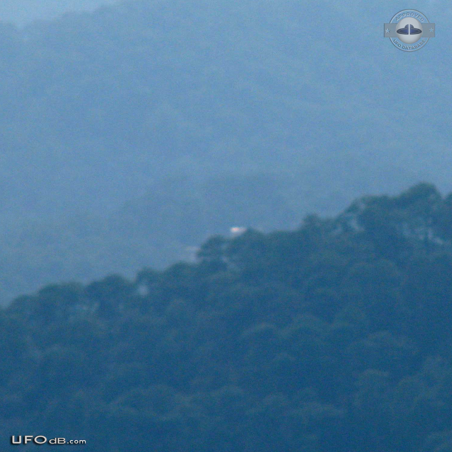 Long UFO hides in mountain tree tops in Valle de Bravo, Mexico 2012 UFO Picture #505-3
