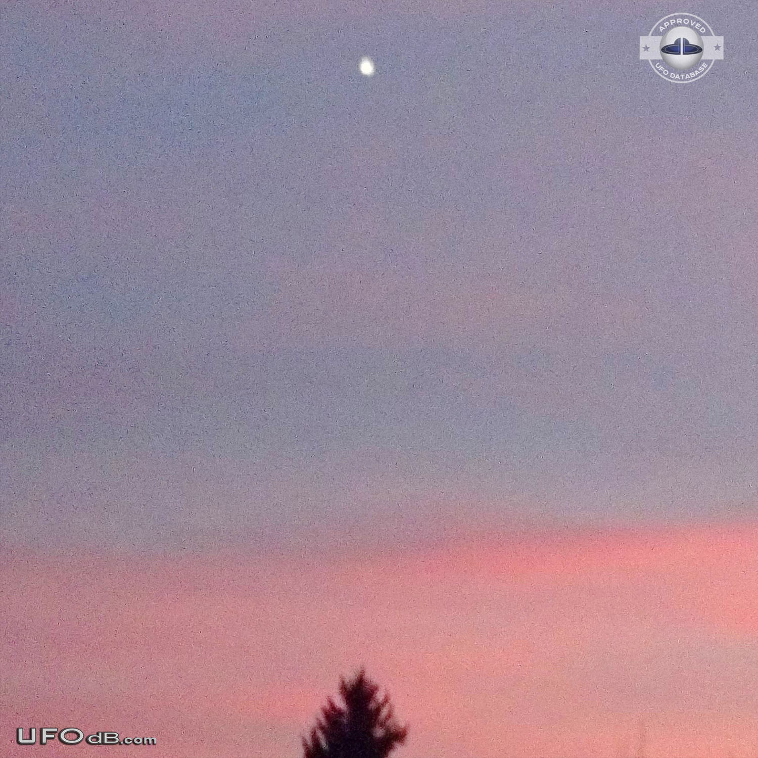 White fluffy Orb UFO caught on photo in the sky of Butte, Montana 2012 UFO Picture #517-1