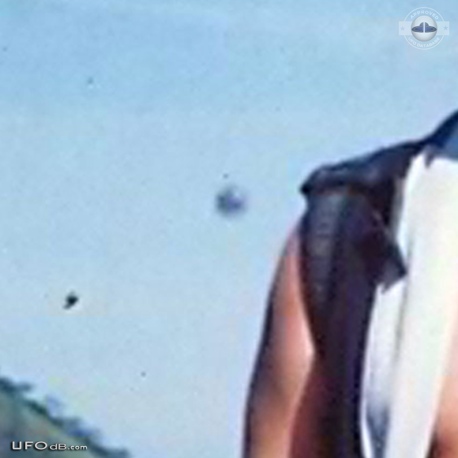 UFO caught on picture in remote district of Sana, Macae, Brazil - 2008 UFO Picture #533-3
