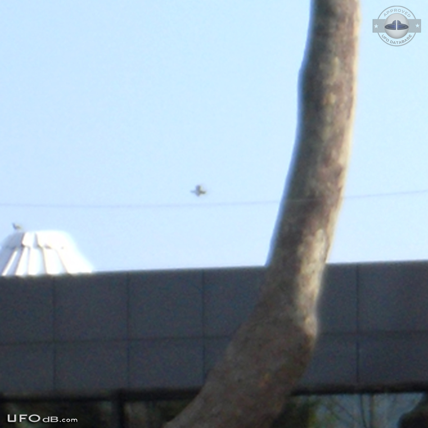 Strange Shaped UFO rarely seen caught on picture Istanbul Turkey 2014 UFO Picture #568-3