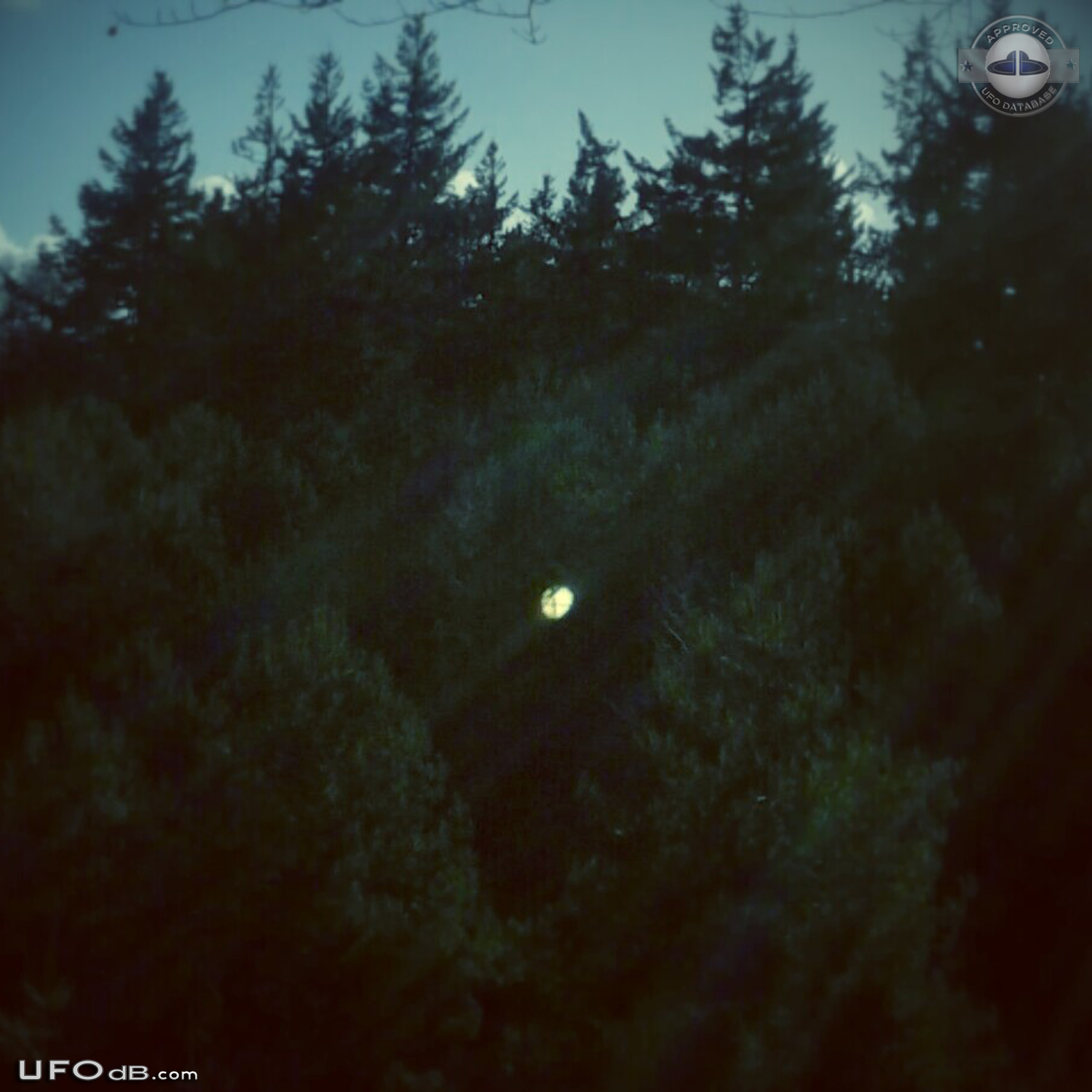 Silent Gold Disc UFO caught on picture - Rhenen, the Netherlands 2014 UFO Picture #572-1