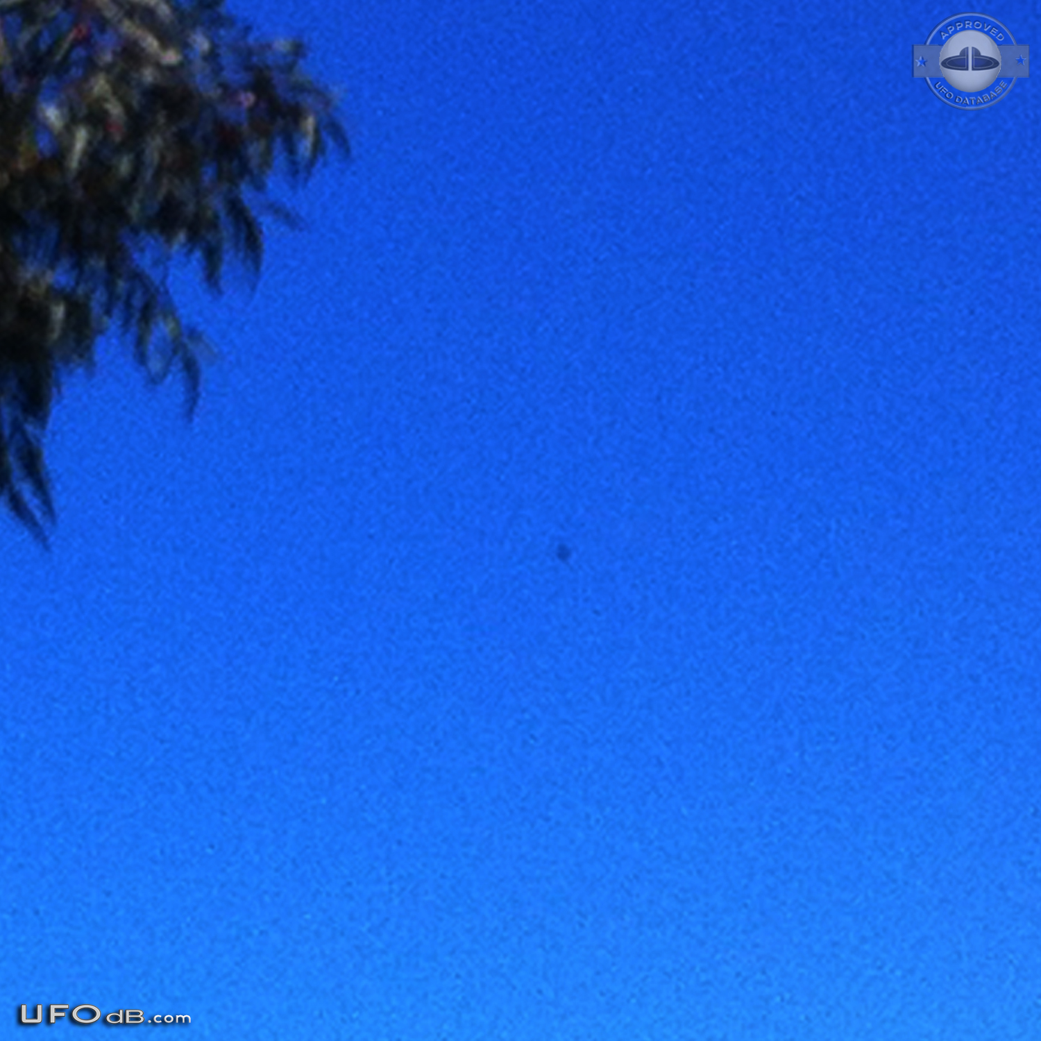 Donut Shaped UFO in blue sky over Blackburn North, Australia in 2012 UFO Picture #575-3