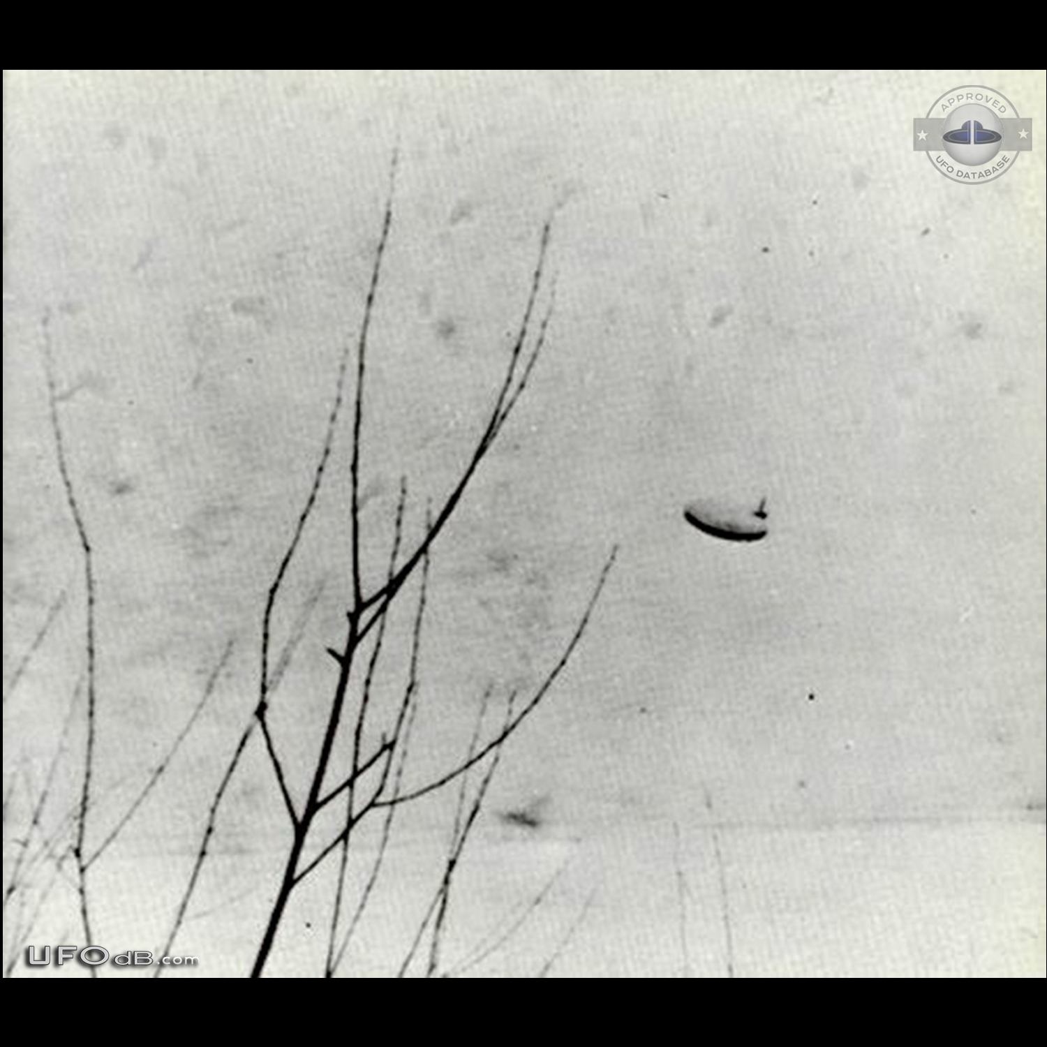 Teenages Boys see Saucer UFO in Lake St Clair Michigan USA 1967 UFO Picture #584-1