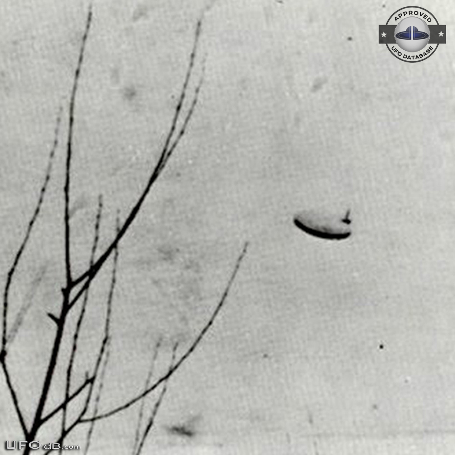 Teenages Boys see Saucer UFO in Lake St Clair Michigan USA 1967 UFO Picture #584-2