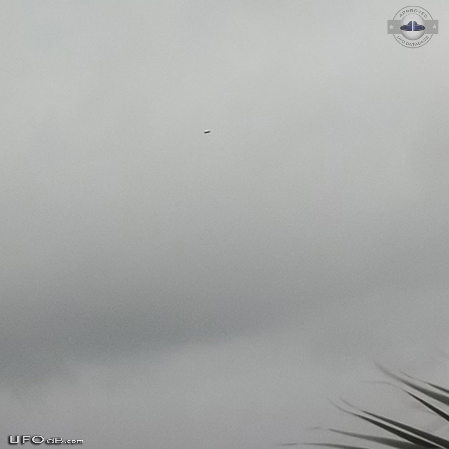 3 disc shaped UFOs seen over Siracusa Sicily Italy january 2014 UFO Picture #599-1