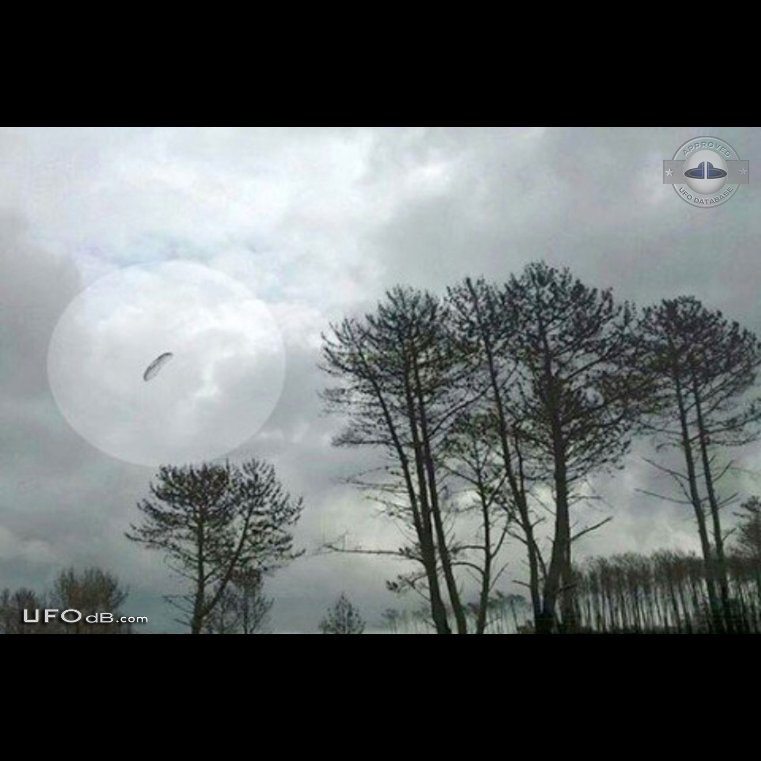 Parachute shaped UFO seen over Claromeco, Tres Arroyos Argentina UFO Picture #620-1