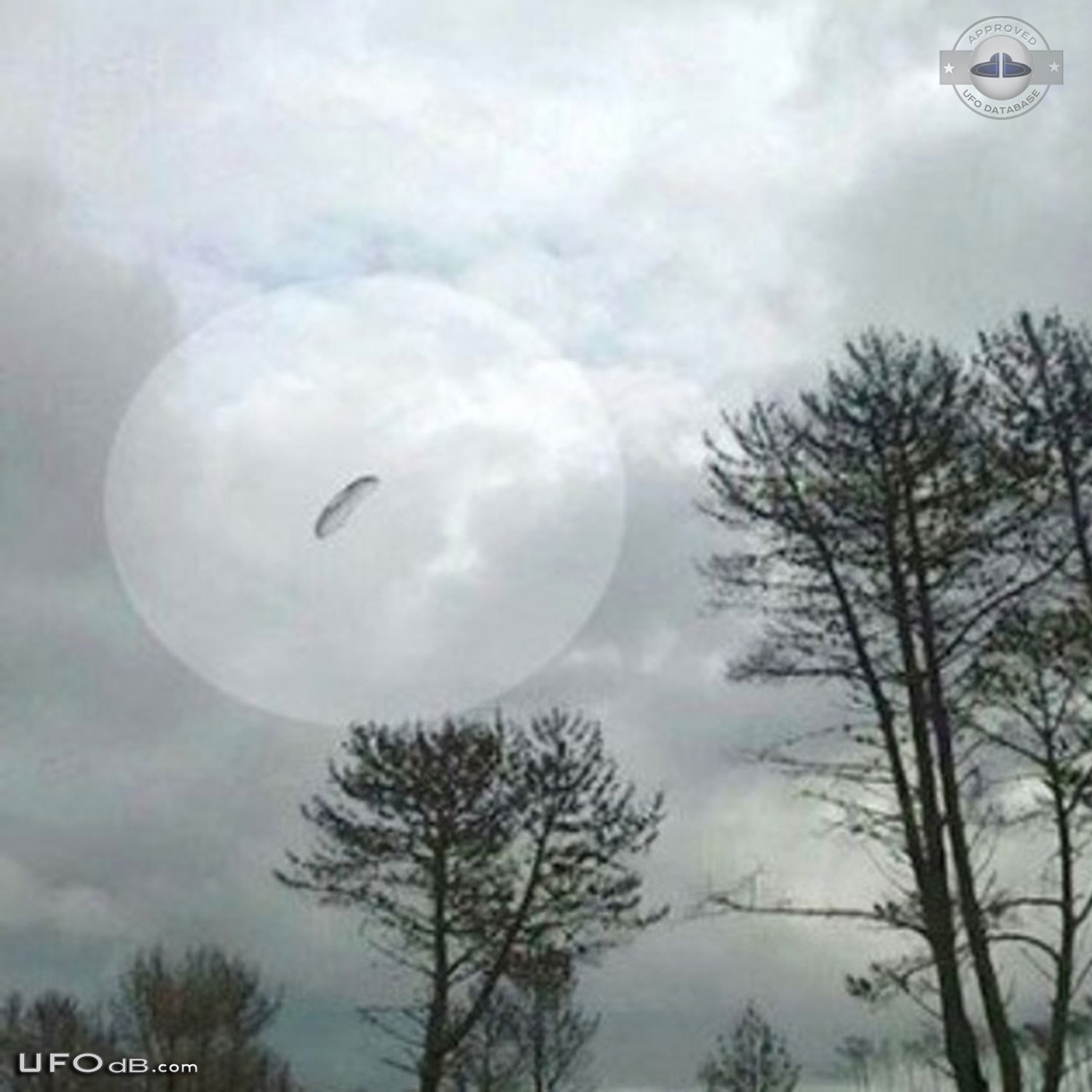 Parachute shaped UFO seen over Claromeco, Tres Arroyos Argentina UFO Picture #620-2