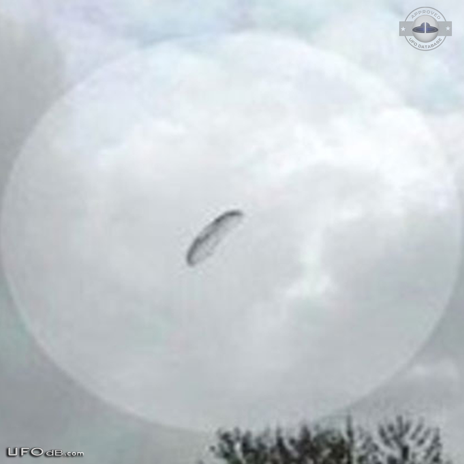 Parachute shaped UFO seen over Claromeco, Tres Arroyos Argentina UFO Picture #620-3