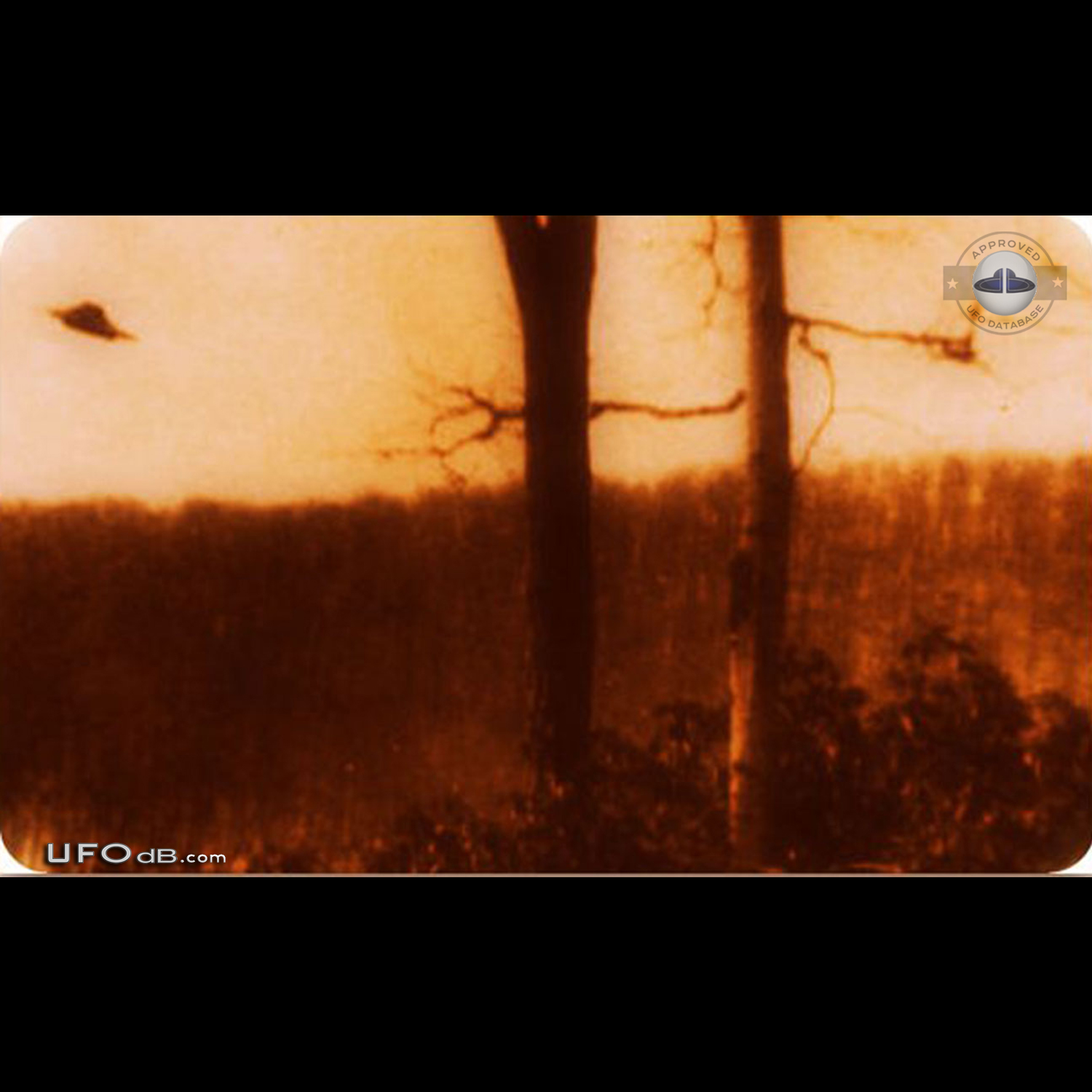 Old 1966 UFO picture taken near Lake Tiorati, Orange County New York UFO Picture #633-1
