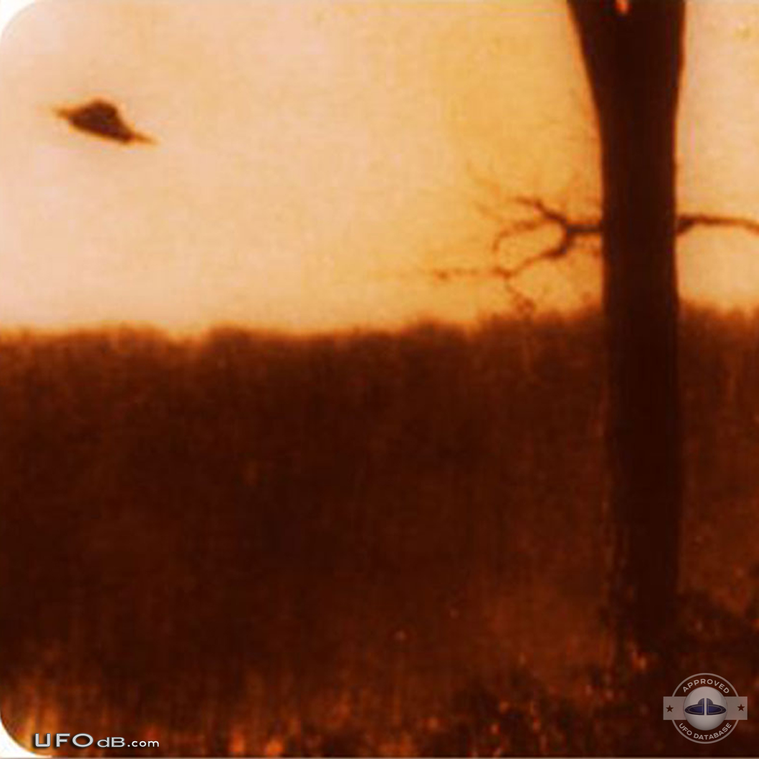 Old 1966 UFO picture taken near Lake Tiorati, Orange County New York UFO Picture #633-3
