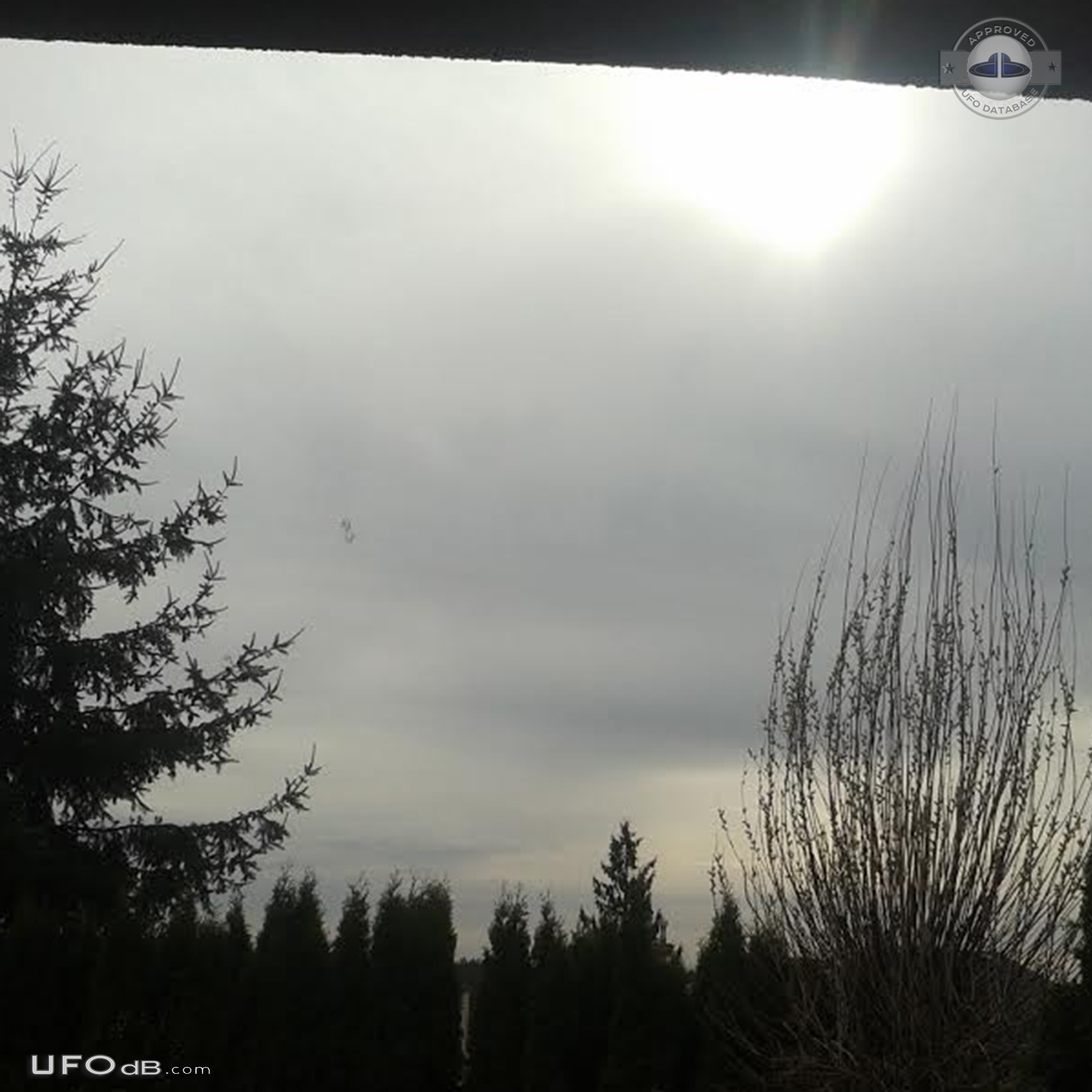 3 bright lights UFOs not too far up in the sky sitting still - Canada UFO Picture #674-4