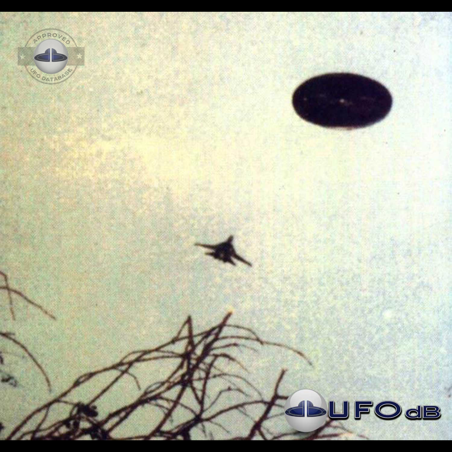Ufo picture taken by Amaury Rivera who says that he was abducted also UFO Picture #68-1