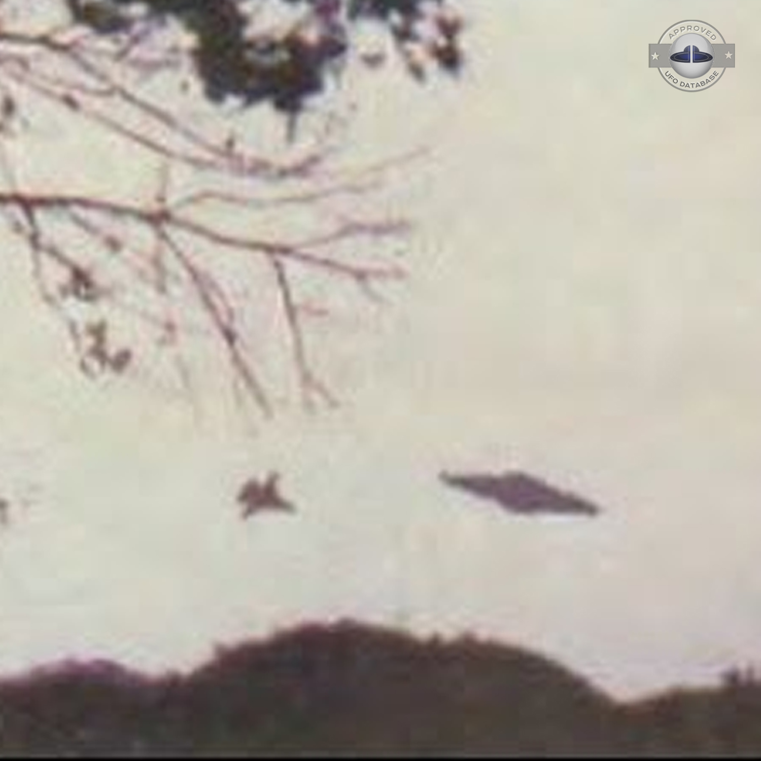 Ufo picture taken by Amaury Rivera who says that he was abducted also UFO Picture #68-4