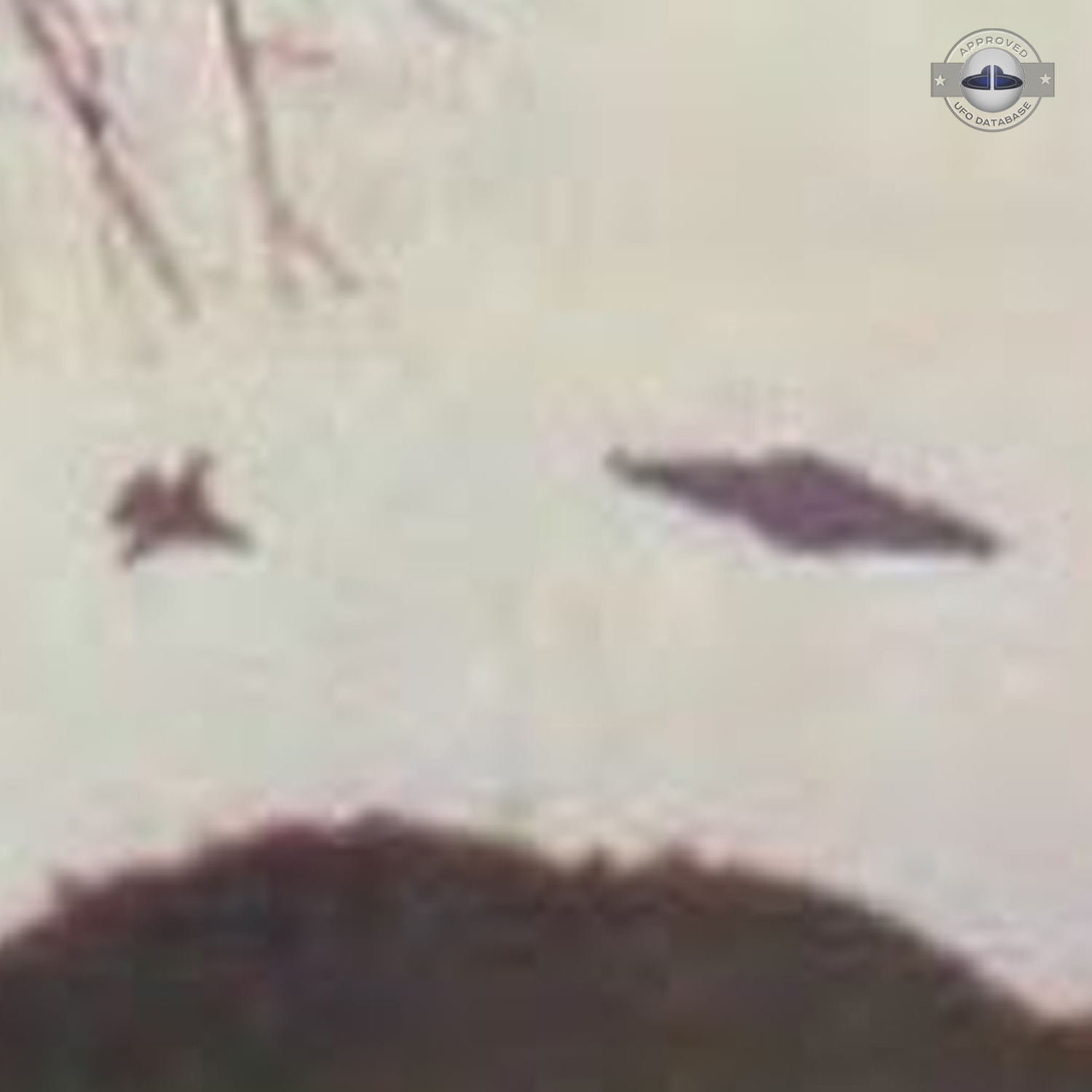 Ufo picture taken by Amaury Rivera who says that he was abducted also UFO Picture #68-5