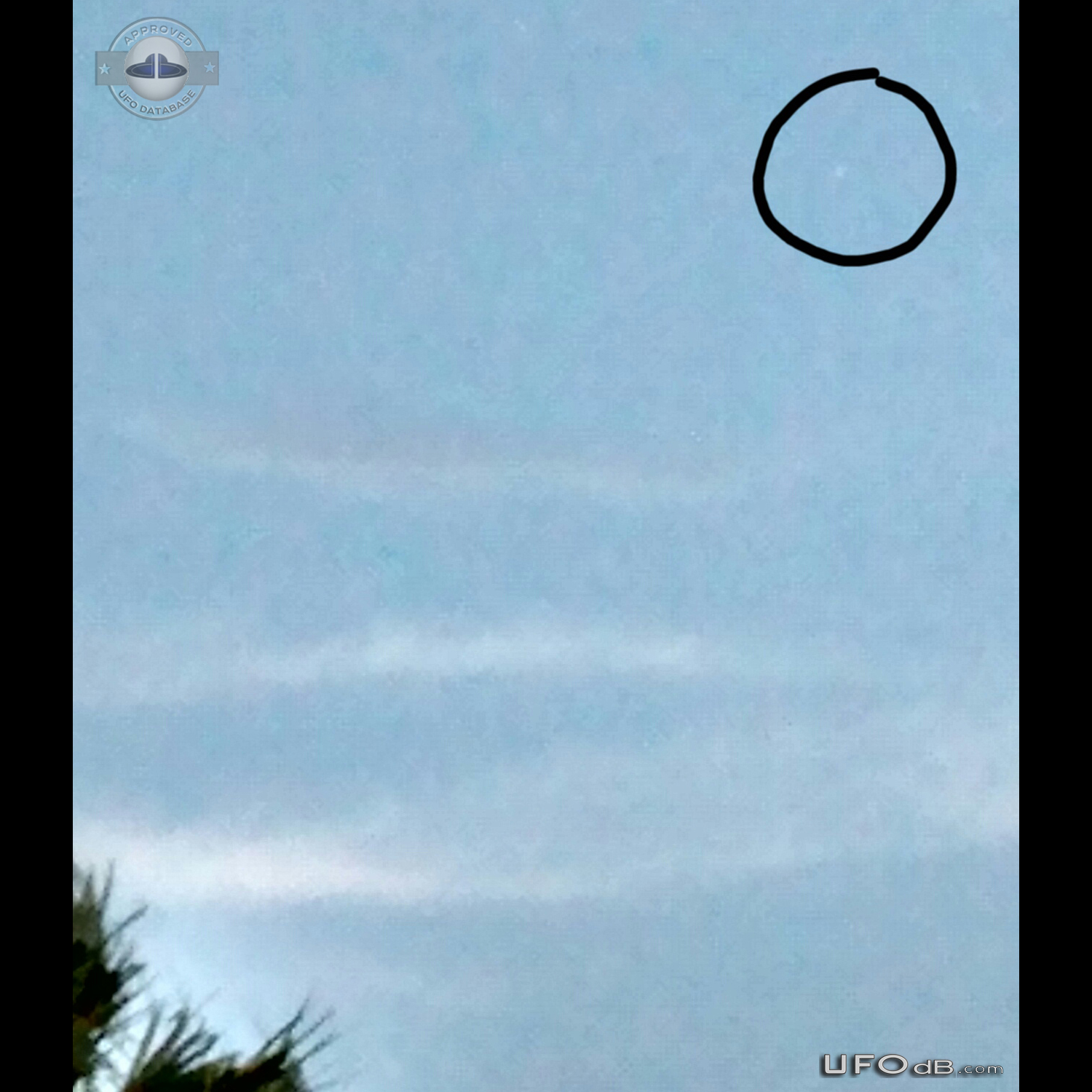 White disc shaped UFO sighting over Saint Marys Georgia USA 2015 UFO Picture #680-1