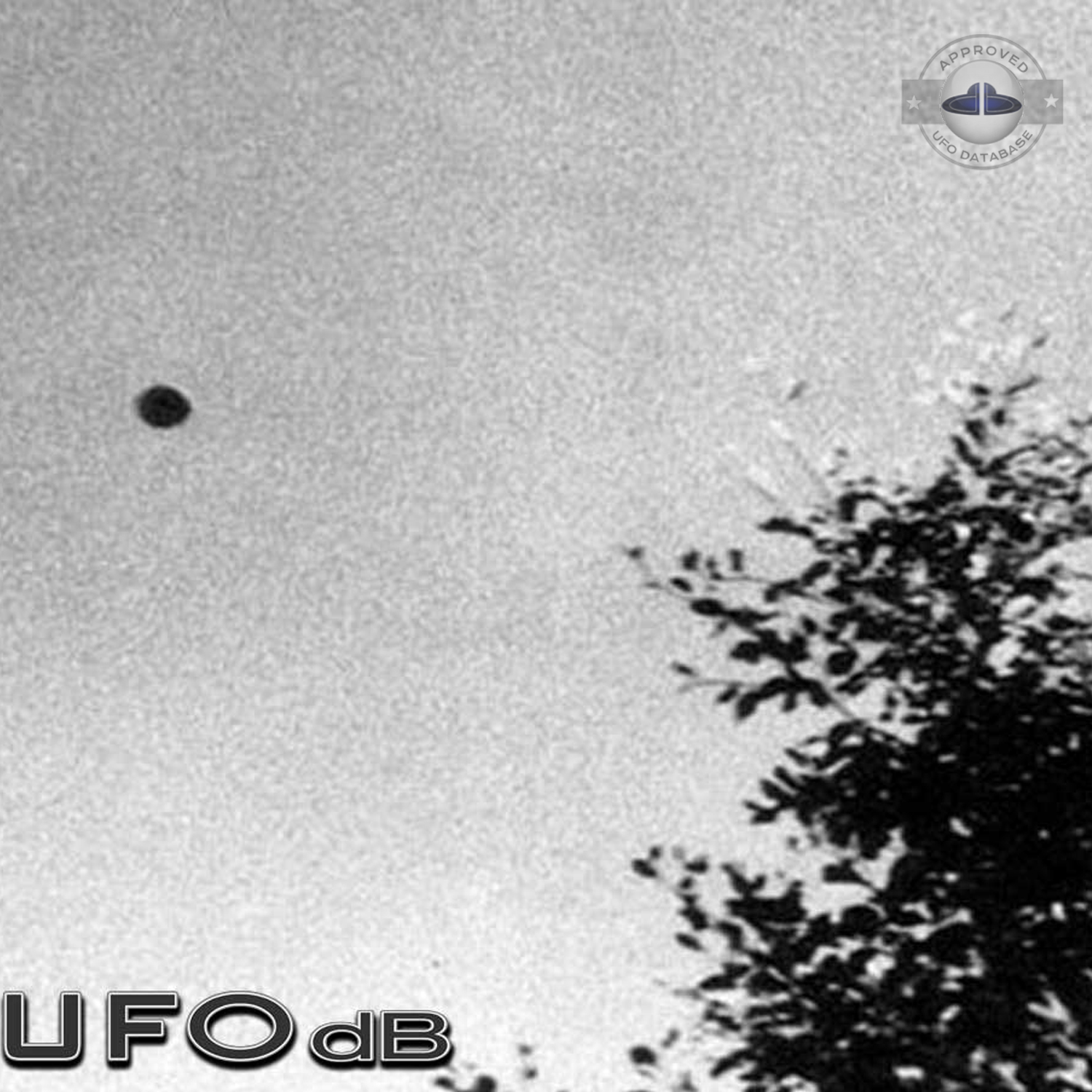 UFO picture taken by Andre Fregnale around lake Chauvet in Picherande UFO Picture #71-2