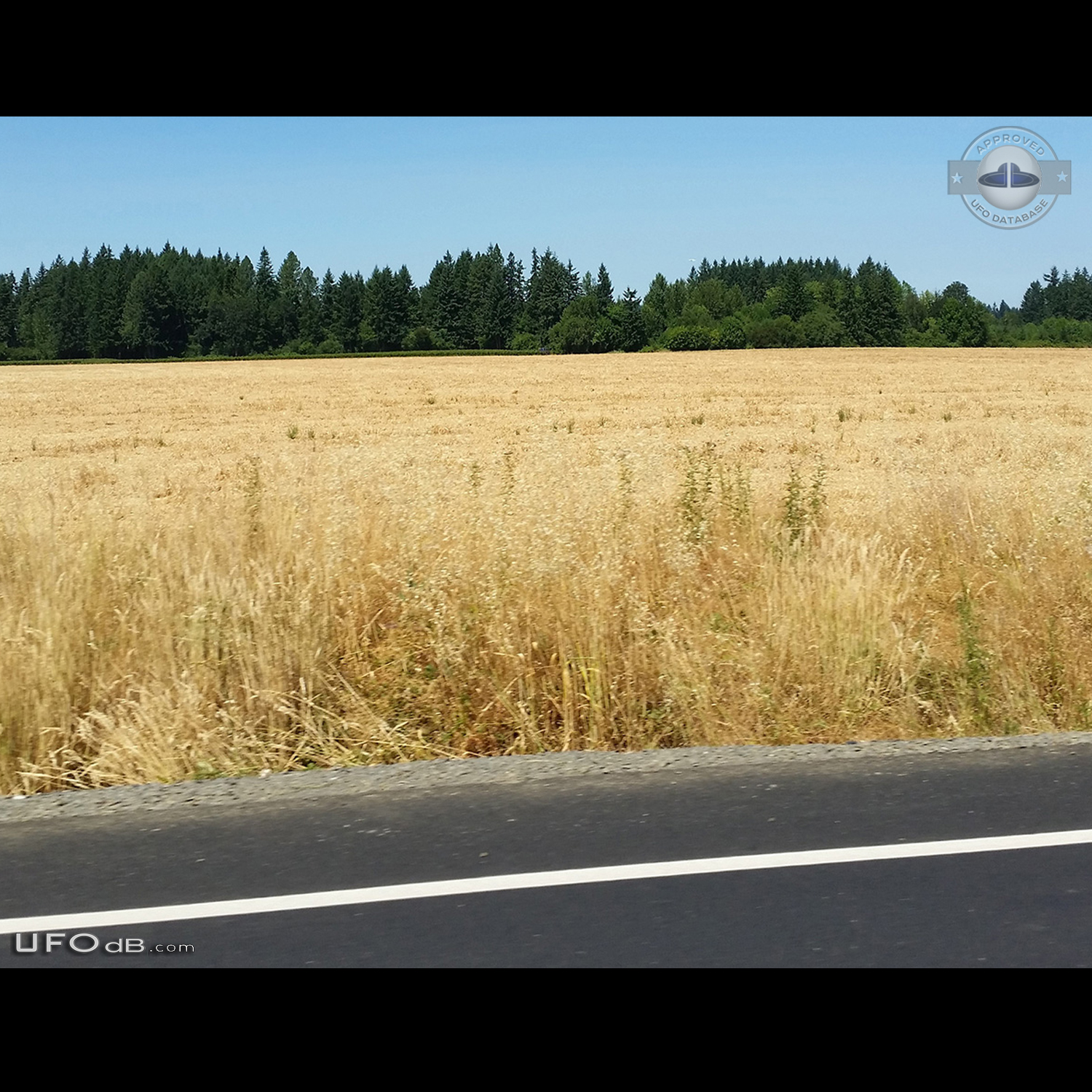 I was driving home from work and saw an object hovering over the trees UFO Picture #710-1