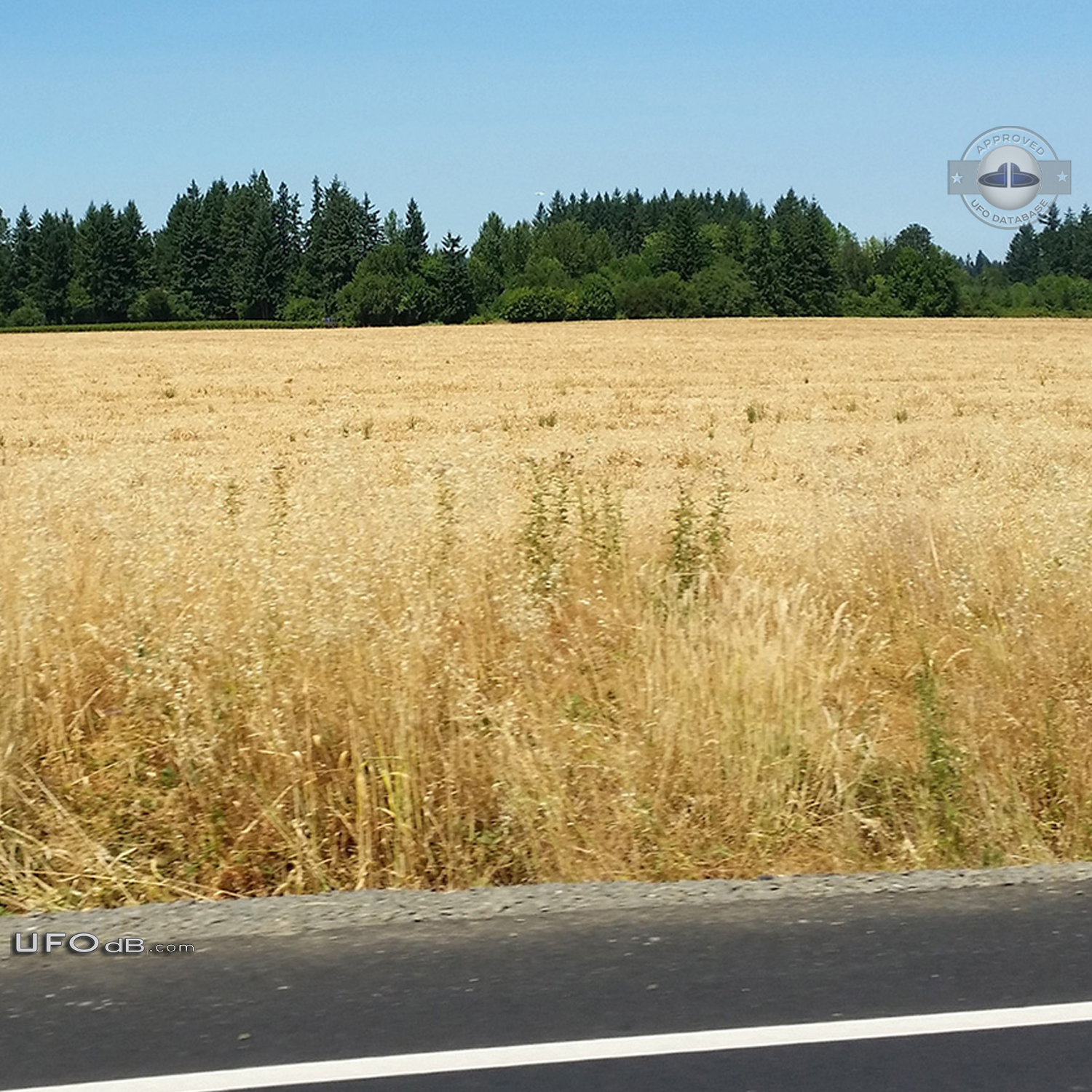 I was driving home from work and saw an object hovering over the trees UFO Picture #710-2