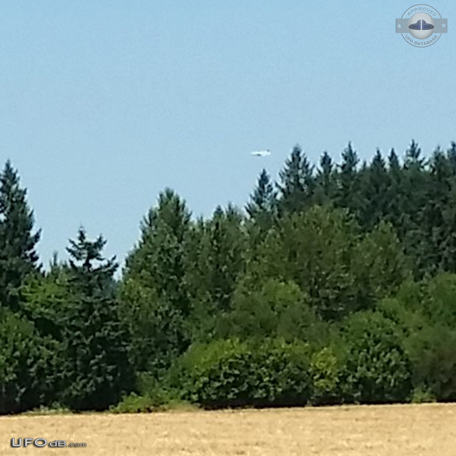 I was driving home from work and saw an object hovering over the trees UFO Picture #710-5