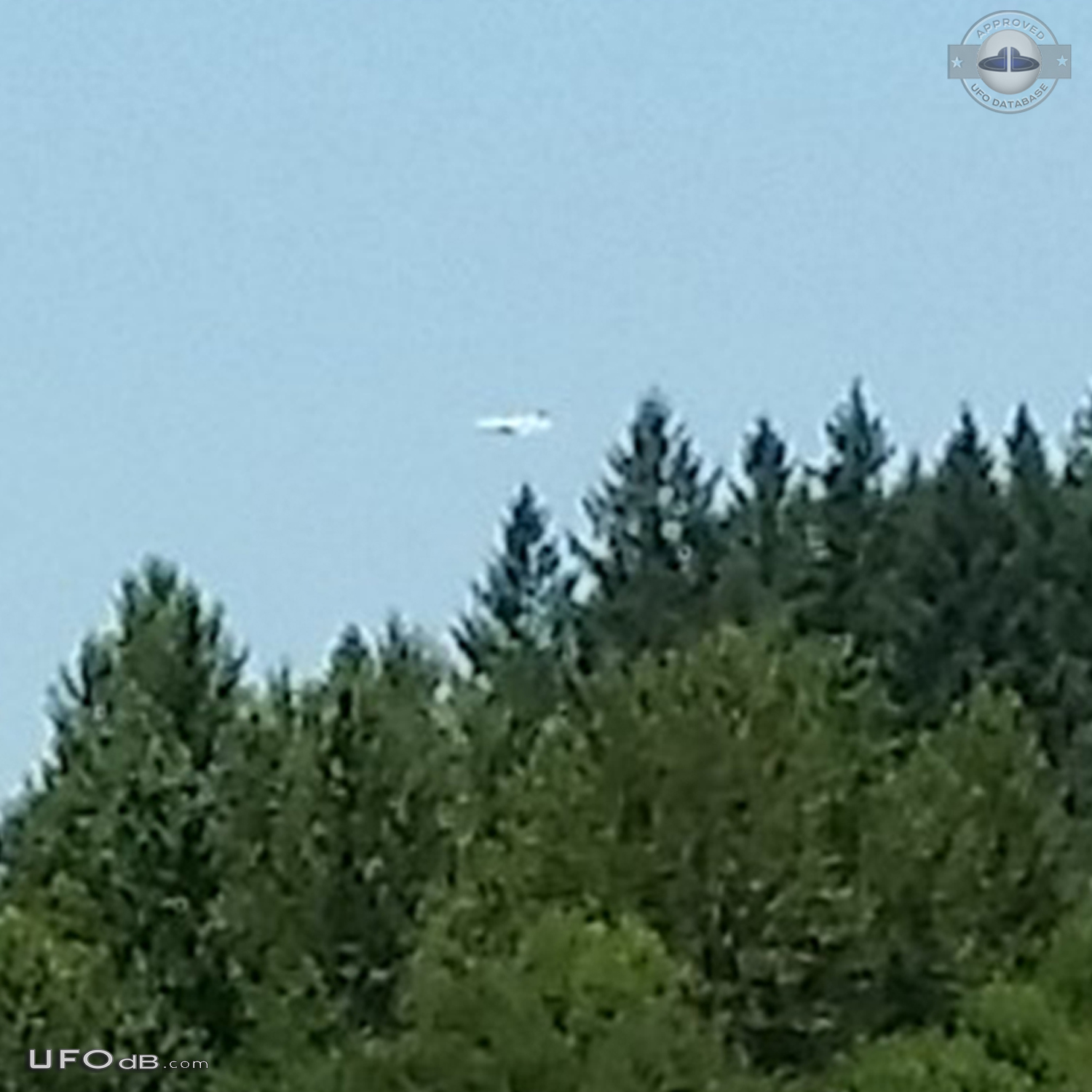 I was driving home from work and saw an object hovering over the trees UFO Picture #710-6