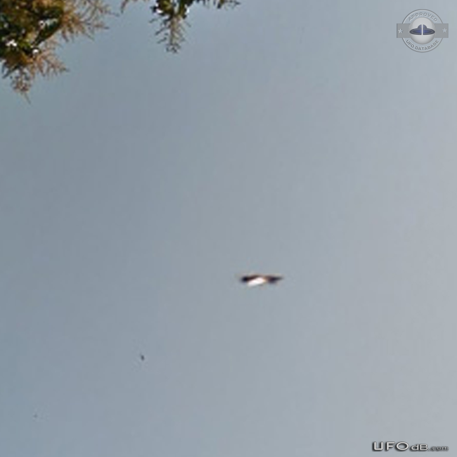 Metallic UFO flying over cemetery in Rio de Janeiro Brazil September 2 UFO Picture #725-3