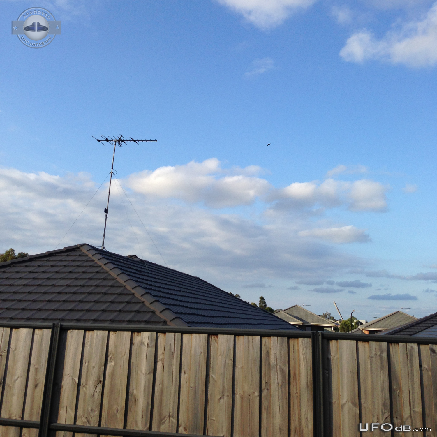 Triangular object hovering in Sky and did not move while observed - Au UFO Picture #736-1