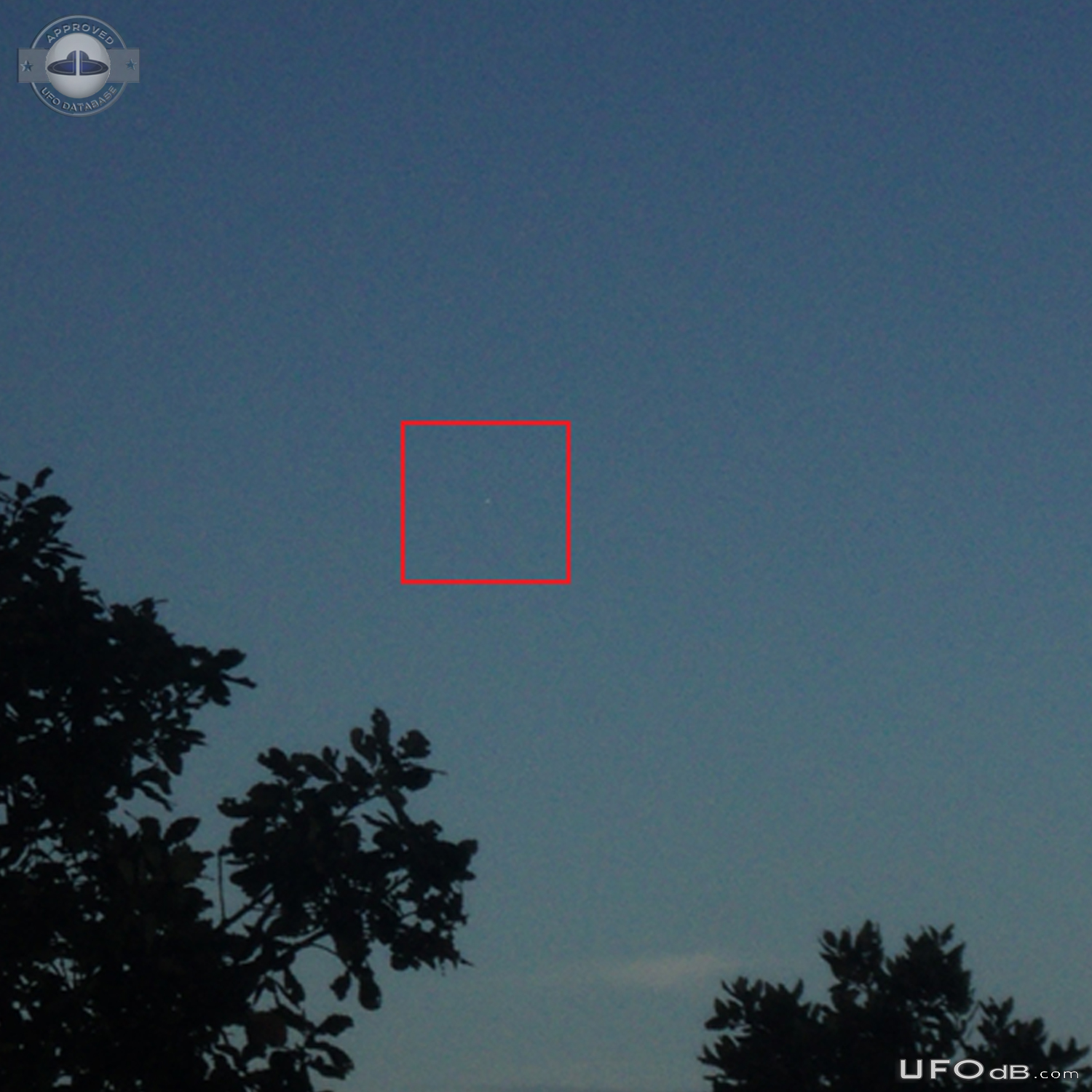 White sphere UFO moving slowly through the sky - Seraidi Annaba Algeri UFO Picture #760-4