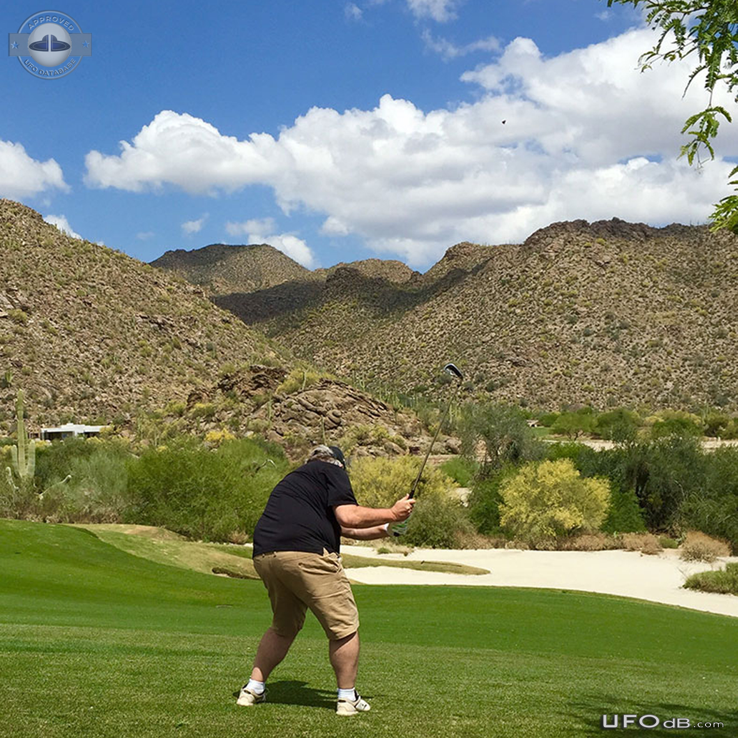 Saw UFO in photo it made no sound unlike F18s Marana Arizona USA 2015  UFO Picture #764-2