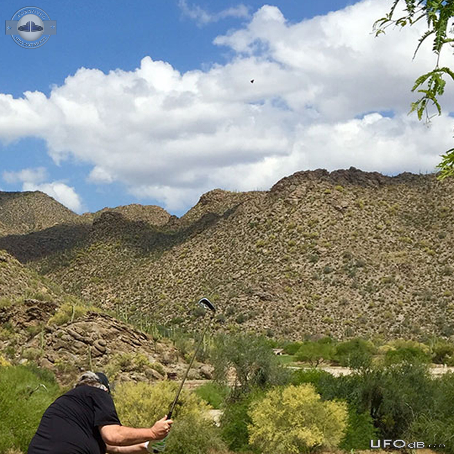 Saw UFO in photo it made no sound unlike F18s Marana Arizona USA 2015  UFO Picture #764-3