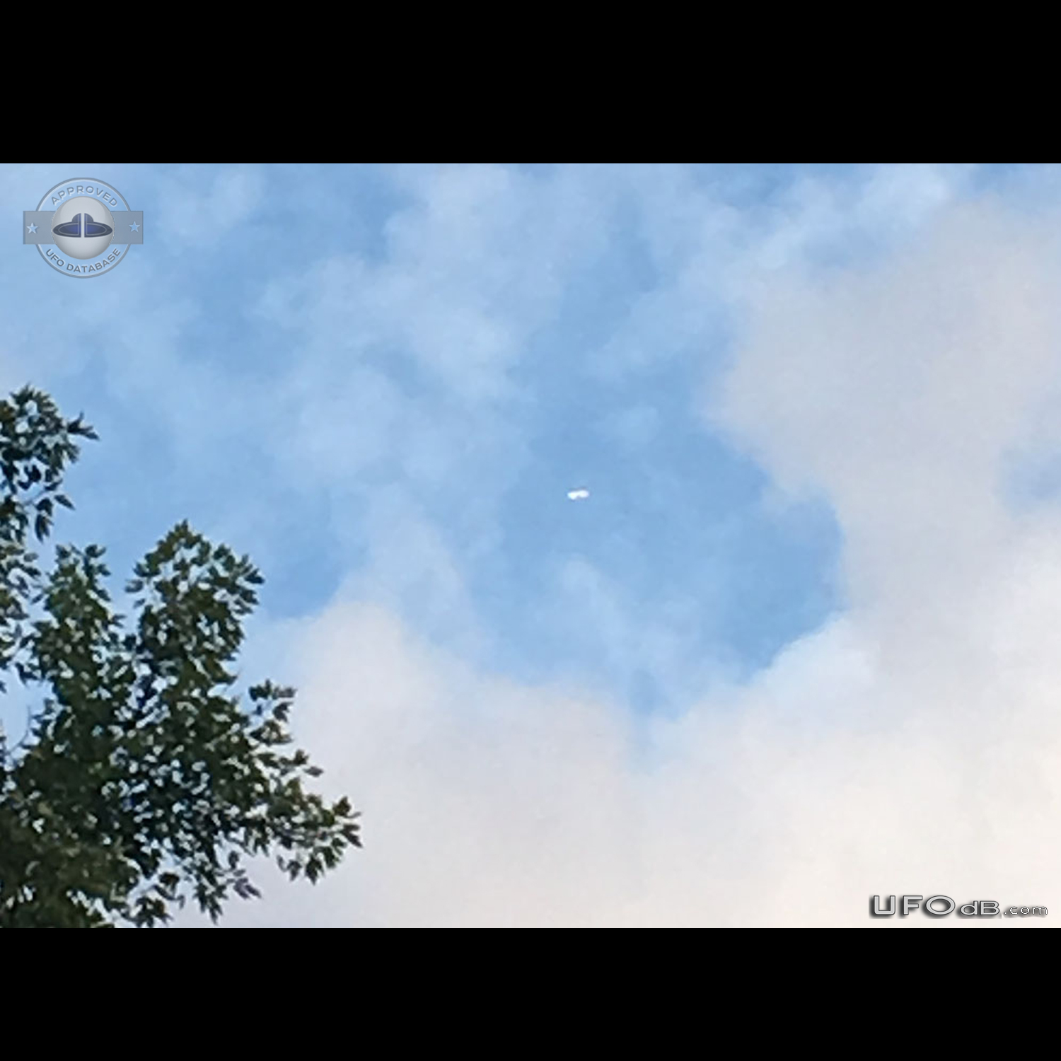 I saw a shiny cigar shaped Ufo in descent through the clouds - Tenness UFO Picture #795-1