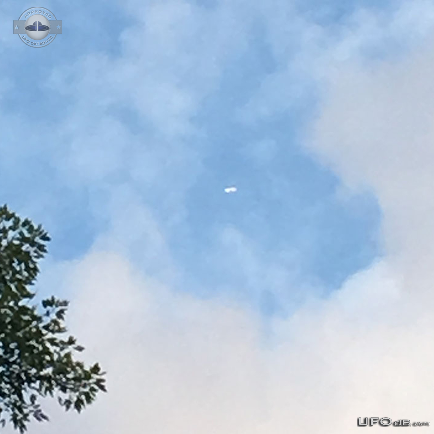 I saw a shiny cigar shaped Ufo in descent through the clouds - Tenness UFO Picture #795-2