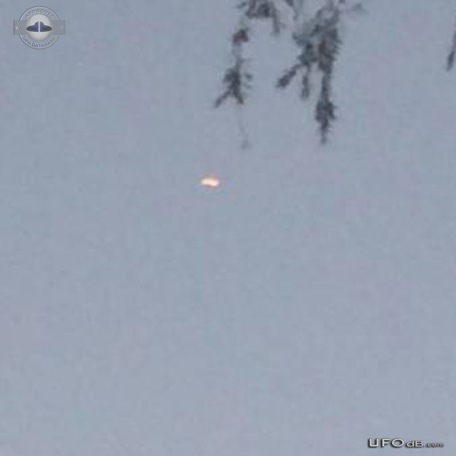 Suspicious UFO was spotted flying over Tarro Newcastle Australia 2017 UFO Picture #806-3