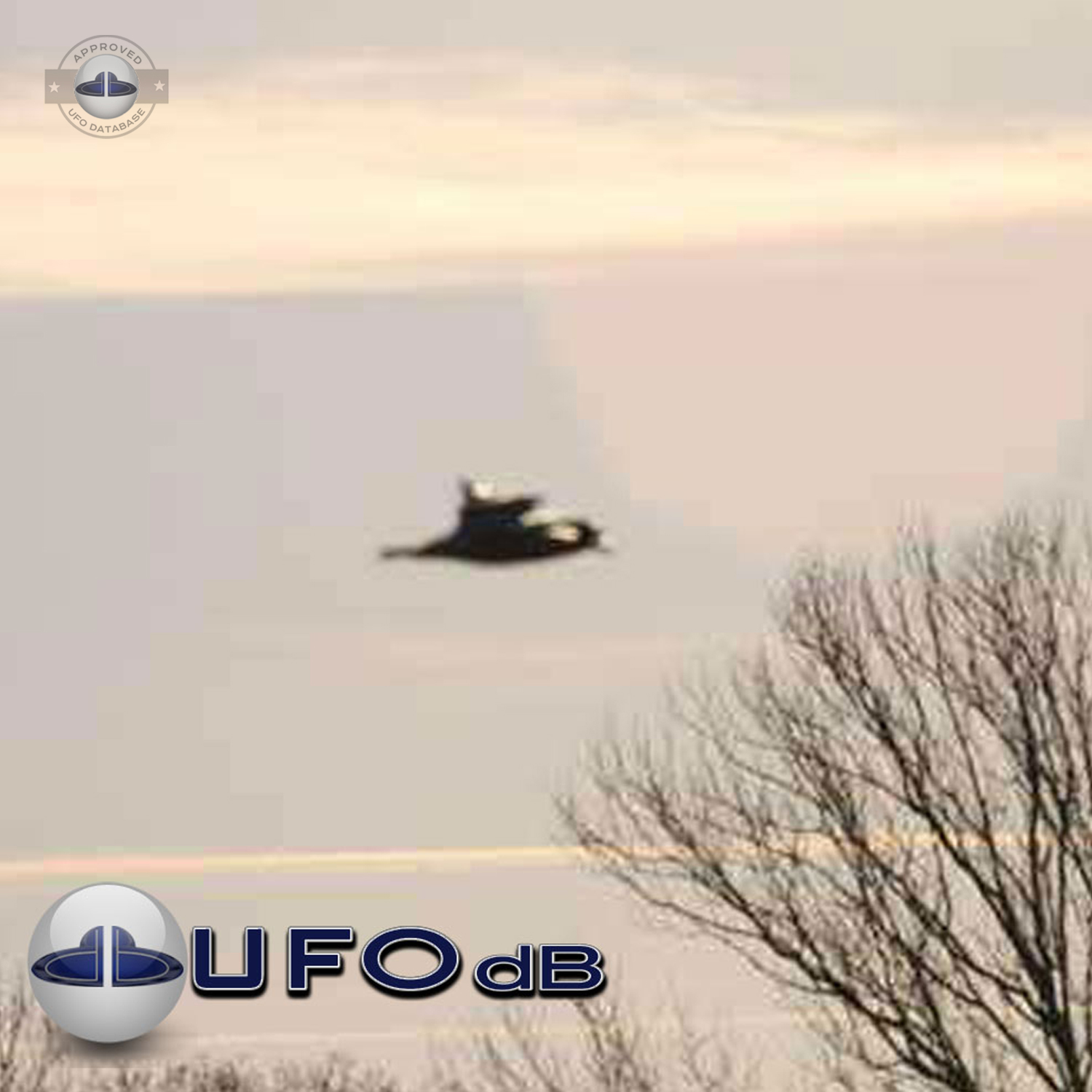 odd glow UFO making a whirling sound when passing by leaving glow UFO Picture #83-2