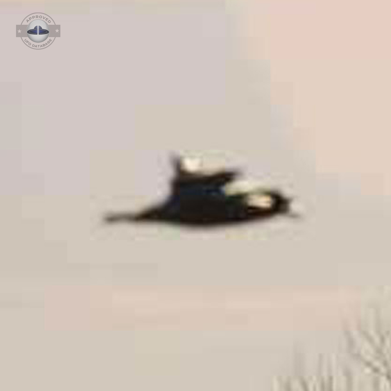 odd glow UFO making a whirling sound when passing by leaving glow UFO Picture #83-3