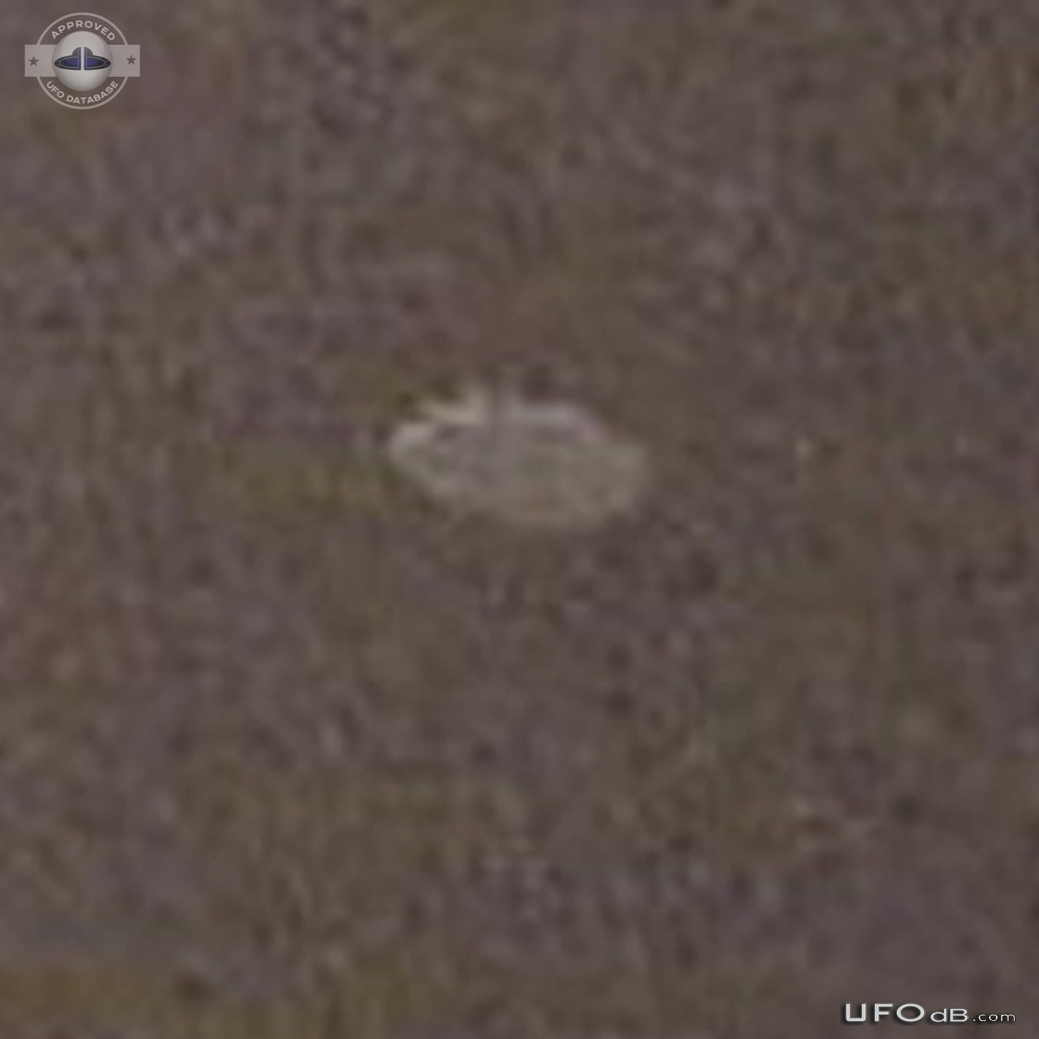 Mysterious UFO picture showing UFO near plane taken in 1952 in North K UFO Picture #837-4