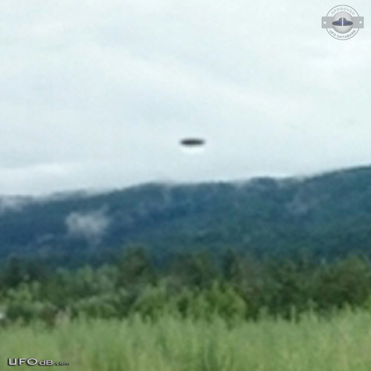 Deer picture gets a UFO passing by near Logan Lake British Columbia Ca UFO Picture #844-4