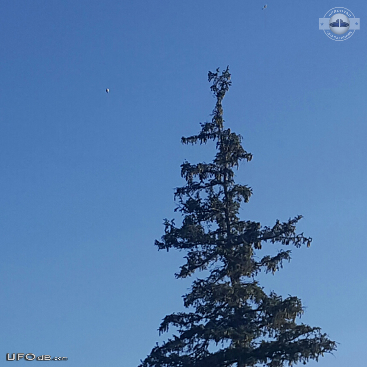 UFO seen near low-flying cropduster