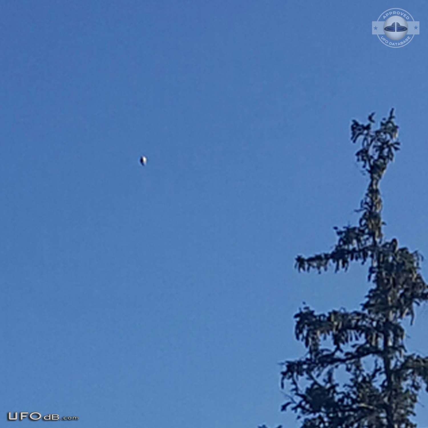 UFO seen near low-flying cropduster