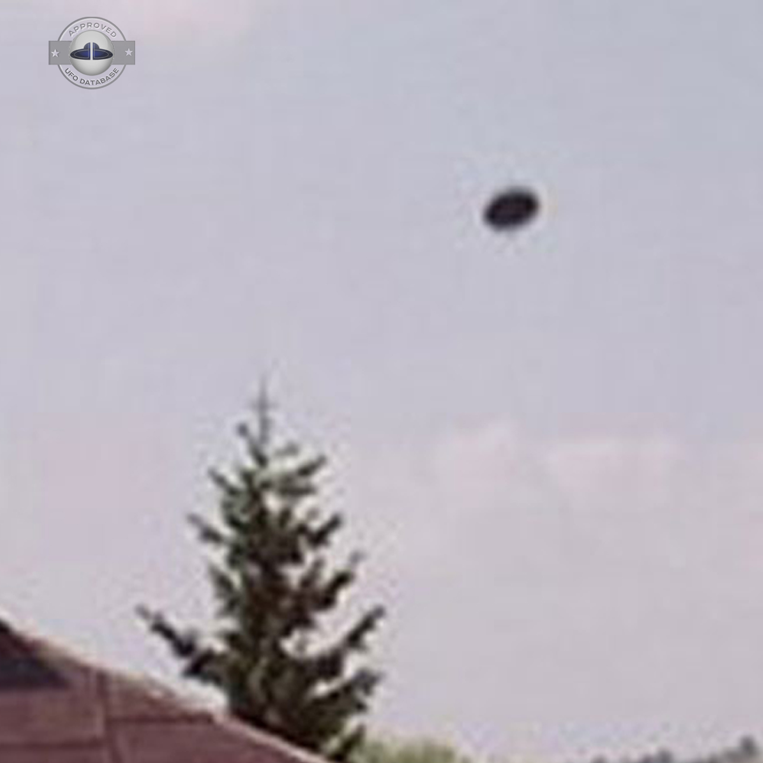 UFO was previously seen in city of Skurowa at a very high altitude UFO Picture #89-4