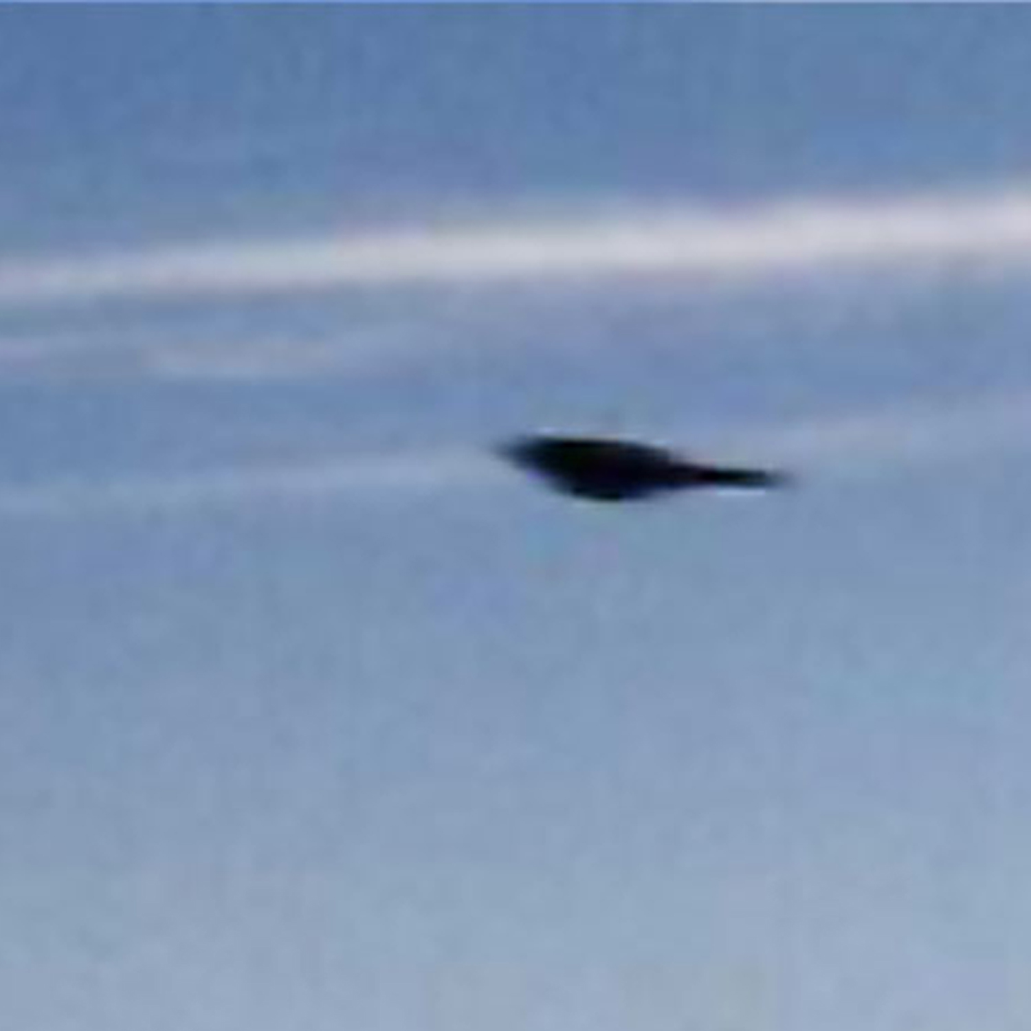 UFO pictures in Peru - UFO over Canaveral 2002 - UFOdB.com UFO Picture #9-3