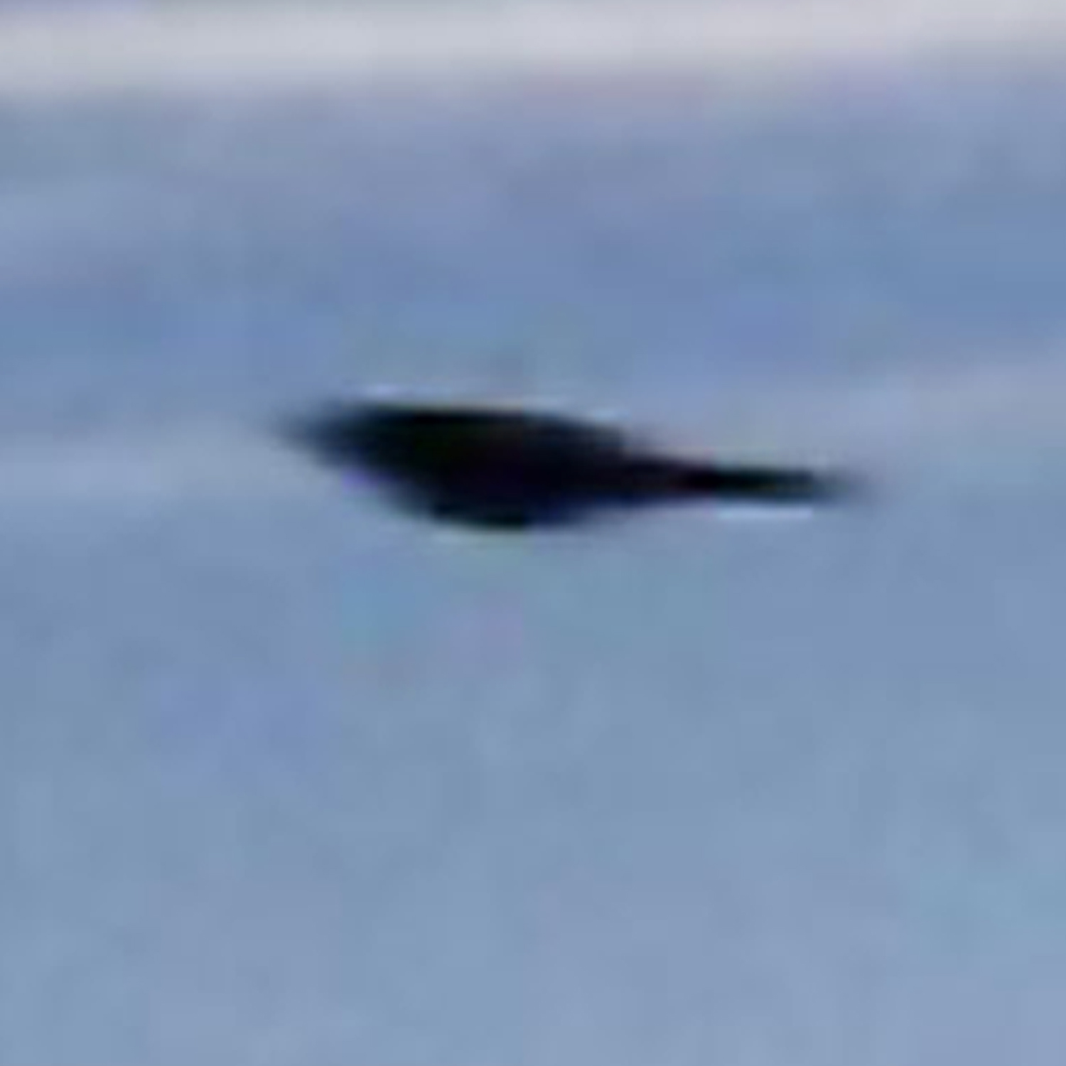 UFO pictures in Peru - UFO over Canaveral 2002 - UFOdB.com UFO Picture #9-4