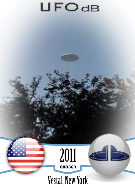 In Vestal New York a witness sees a UFO as large as a Football Stadium UFO CARD Number 363
